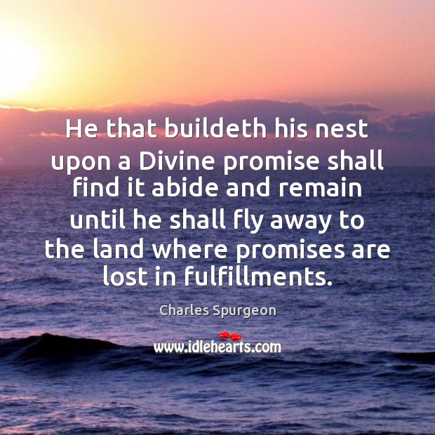 He that buildeth his nest upon a Divine promise shall find it Charles Spurgeon Picture Quote