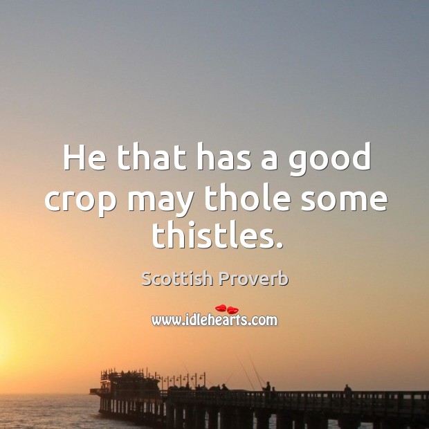 He that has a good crop may thole some thistles. Scottish Proverbs Image