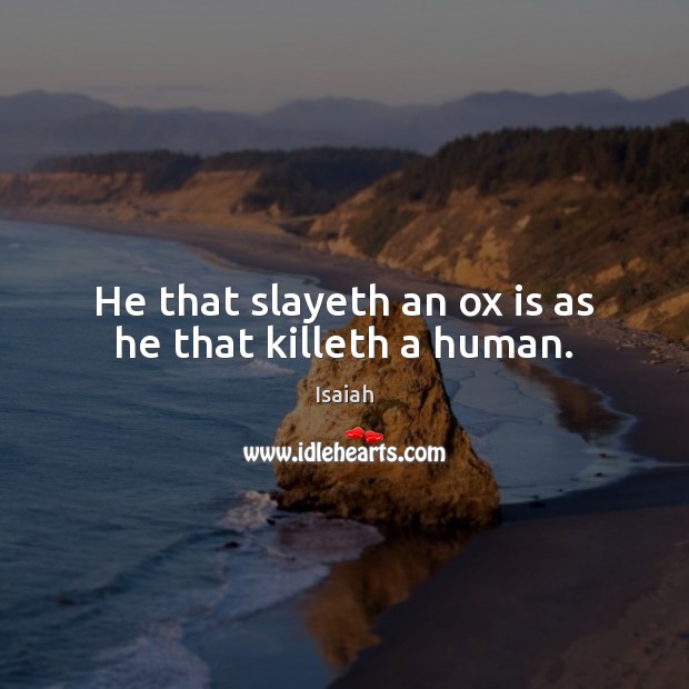 He that slayeth an ox is as he that killeth a human. Isaiah Picture Quote