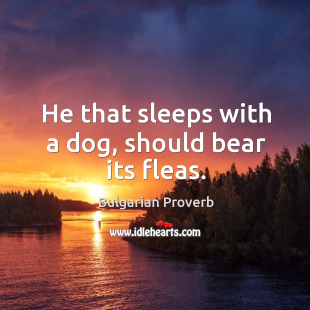 He that sleeps with a dog, should bear its fleas. Bulgarian Proverbs Image