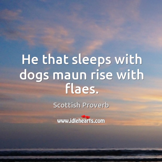 He that sleeps with dogs maun rise with flaes. Scottish Proverbs Image