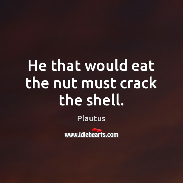 He that would eat the nut must crack the shell. Plautus Picture Quote