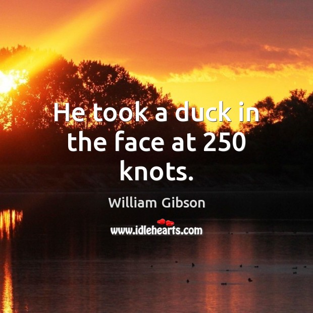 He took a duck in the face at 250 knots. William Gibson Picture Quote