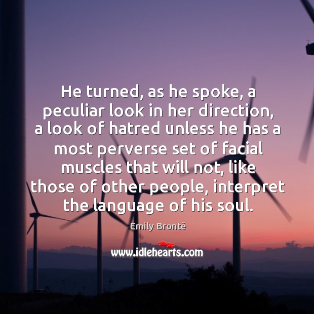 He turned, as he spoke, a peculiar look in her direction, a Emily Brontë Picture Quote