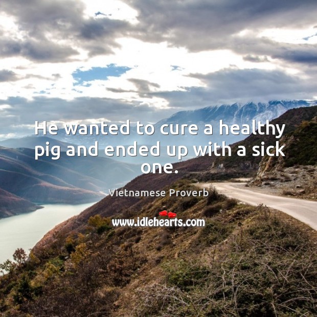 He wanted to cure a healthy pig and ended up with a sick one. Vietnamese Proverbs Image