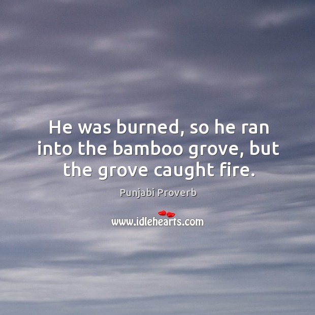 He was burned, so he ran into the bamboo grove, but the grove caught fire. Punjabi Proverbs Image