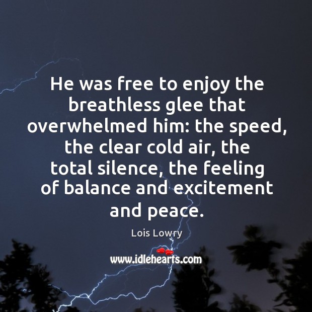 He was free to enjoy the breathless glee that overwhelmed him: the Image