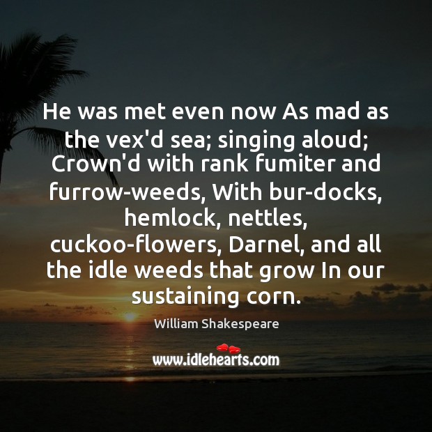 He was met even now As mad as the vex’d sea; singing William Shakespeare Picture Quote
