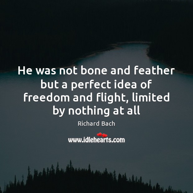 He was not bone and feather but a perfect idea of freedom Richard Bach Picture Quote