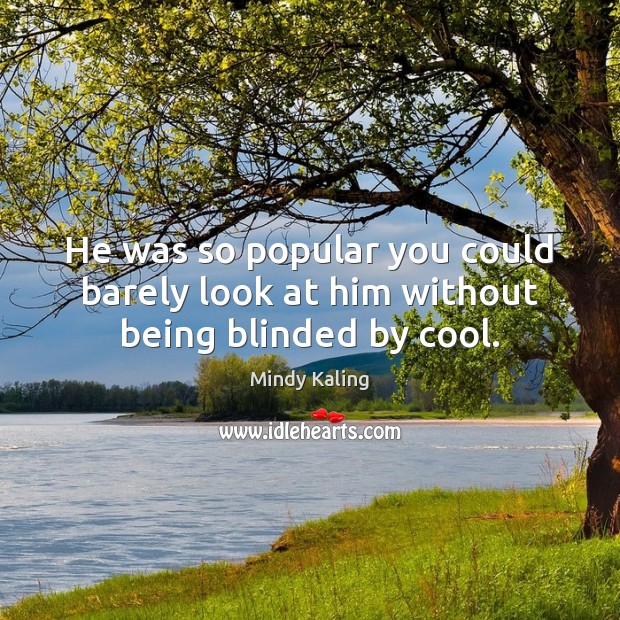 He was so popular you could barely look at him without being blinded by cool. Mindy Kaling Picture Quote