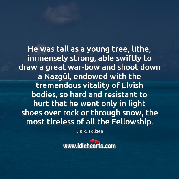 He was tall as a young tree, lithe, immensely strong, able swiftly Image