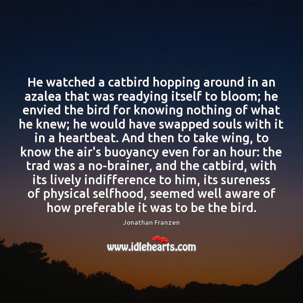 He watched a catbird hopping around in an azalea that was readying Jonathan Franzen Picture Quote