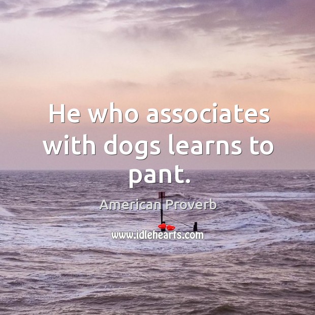 He who associates with dogs learns to pant. American Proverbs Image