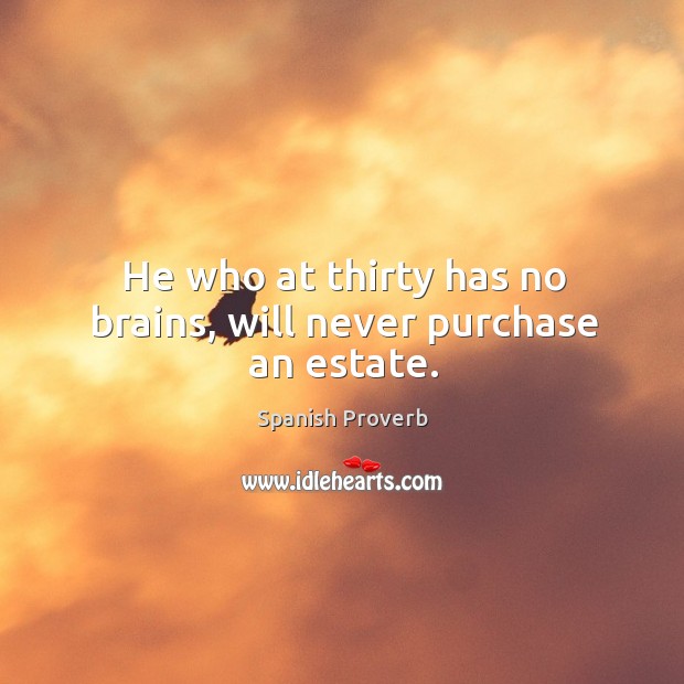 He who at thirty has no brains, will never purchase an estate. Spanish Proverbs Image