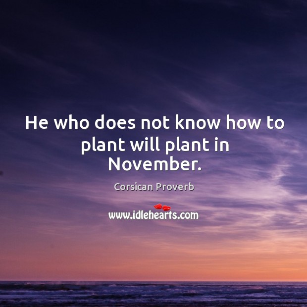 He who does not know how to plant will plant in november. Corsican Proverbs Image