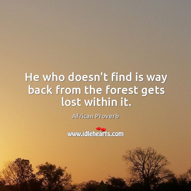 He who doesn’t find is way back from the forest gets lost within it. Image
