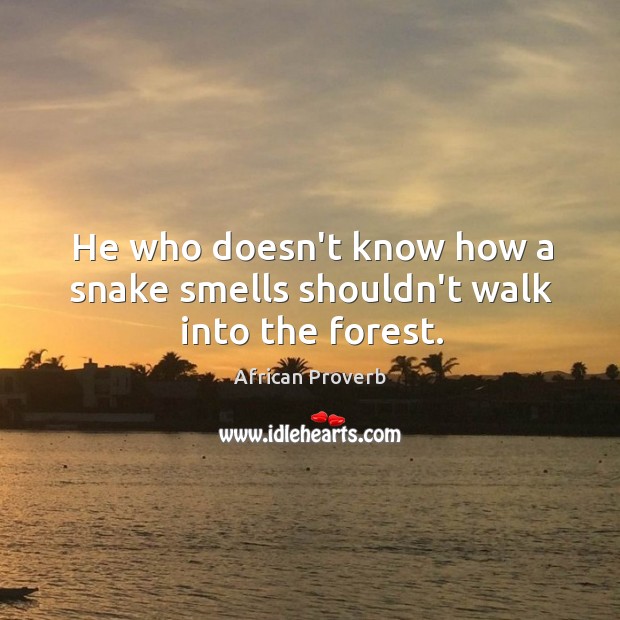 He who doesn’t know how a snake smells shouldn’t walk into the forest. Image