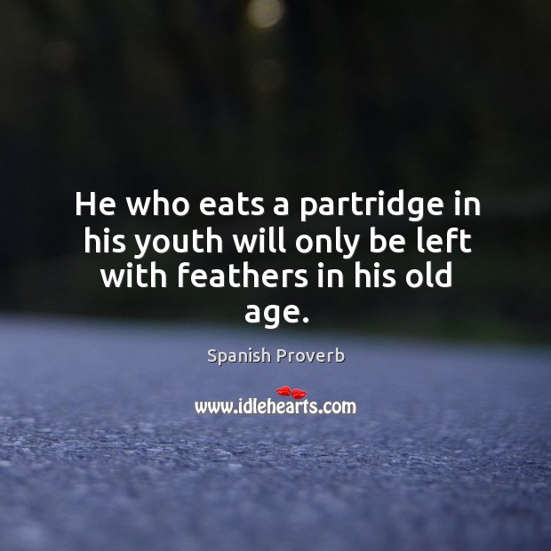 He who eats a partridge in his youth will only be left with feathers in his old age. Spanish Proverbs Image