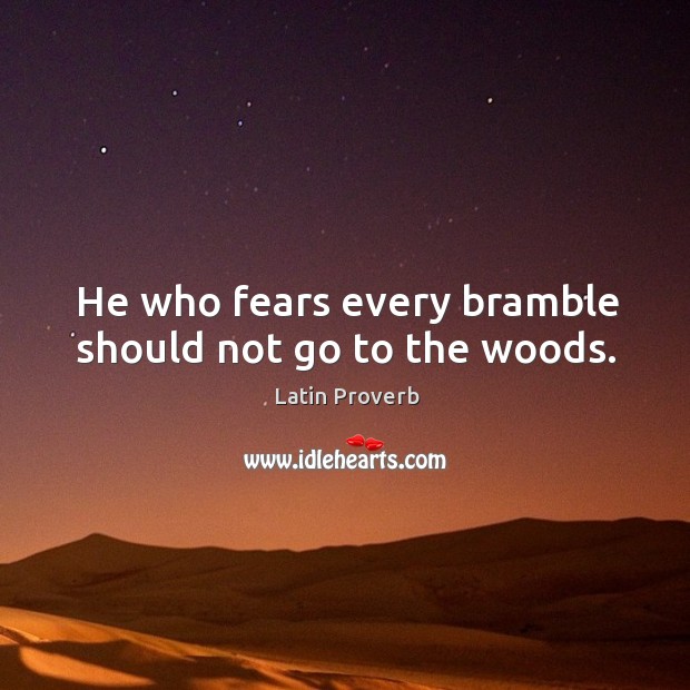 He who fears every bramble should not go to the woods. Image