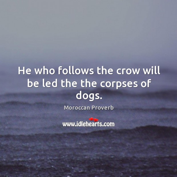 He who follows the crow will be led the the corpses of dogs. Moroccan Proverbs Image