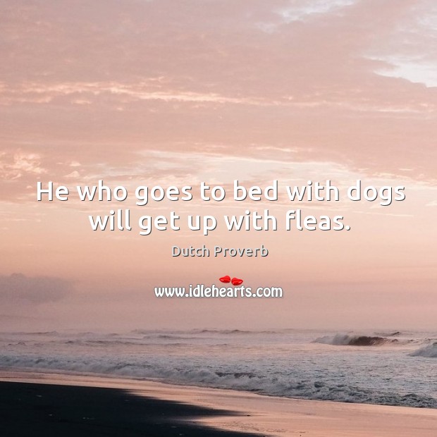 He who goes to bed with dogs will get up with fleas. Dutch Proverbs Image