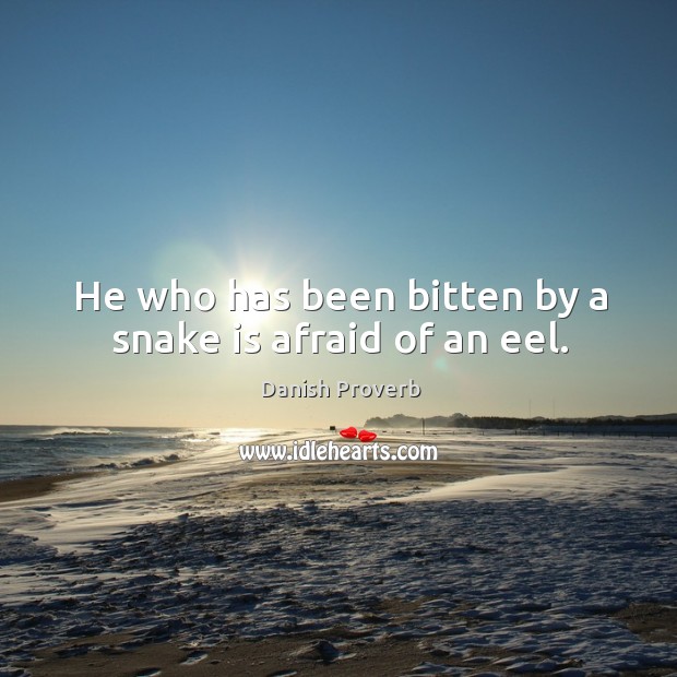He who has been bitten by a snake is afraid of an eel. Danish Proverbs Image