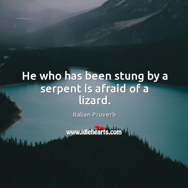 He who has been stung by a serpent is afraid of a lizard. Image