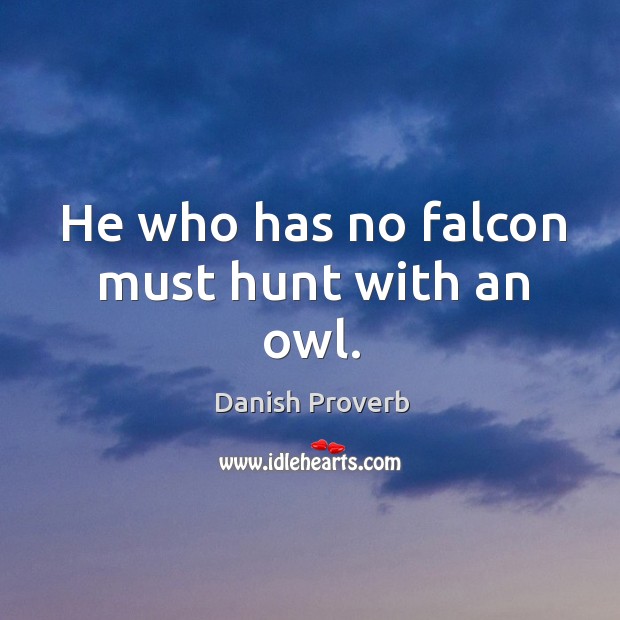 He who has no falcon must hunt with an owl. Danish Proverbs Image