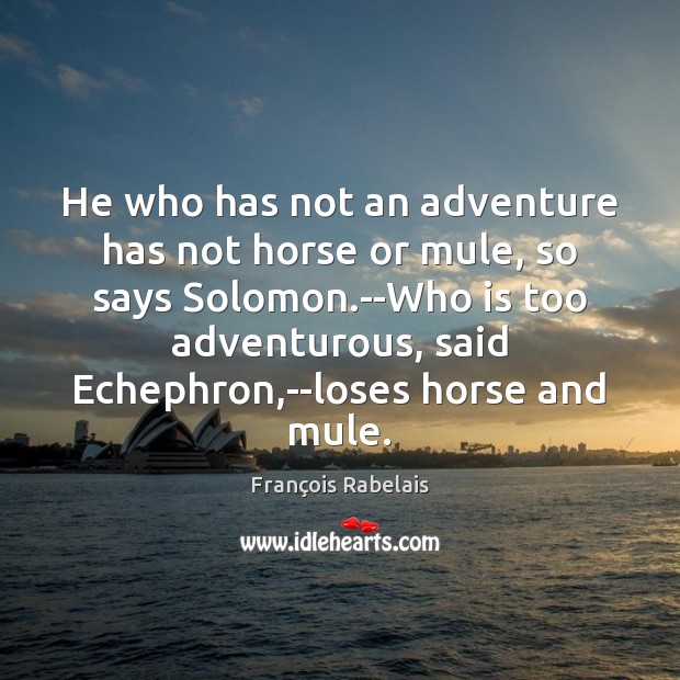 He who has not an adventure has not horse or mule, so Image
