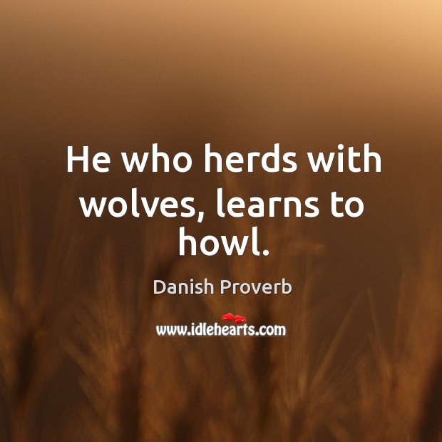 He who herds with wolves, learns to howl. Danish Proverbs Image