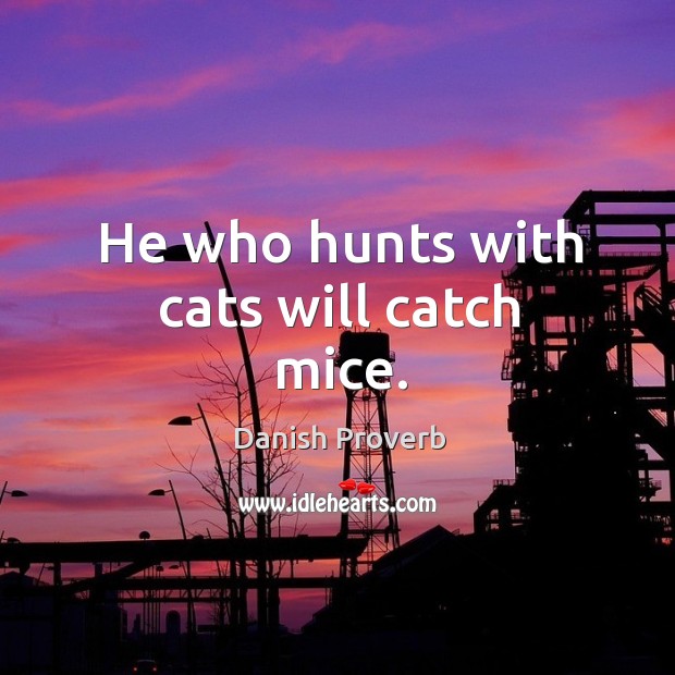 He who hunts with cats will catch mice. Danish Proverbs Image