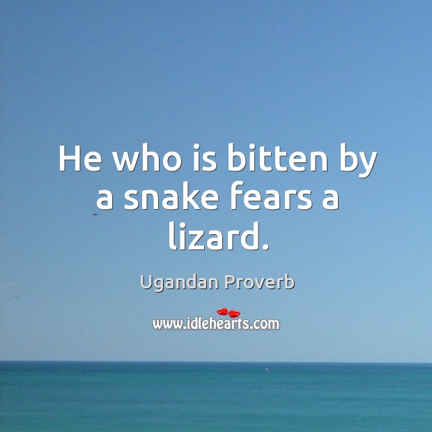 He who is bitten by a snake fears a lizard. Ugandan Proverbs Image