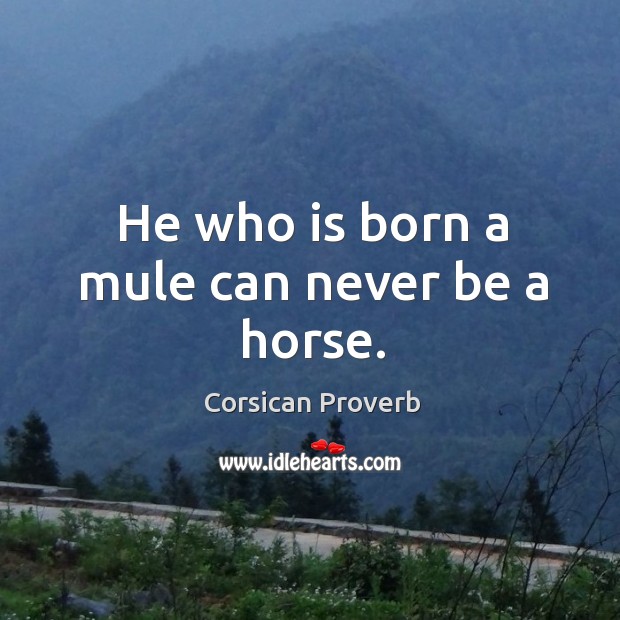 He who is born a mule can never be a horse. Corsican Proverbs Image