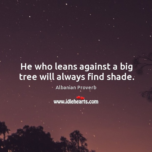 He who leans against a big tree will always find shade. Albanian Proverbs Image