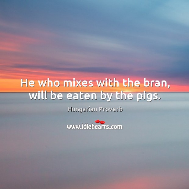 He who mixes with the bran, will be eaten by the pigs. Image