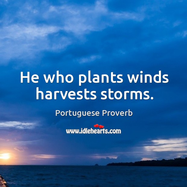 He who plants winds harvests storms. Image