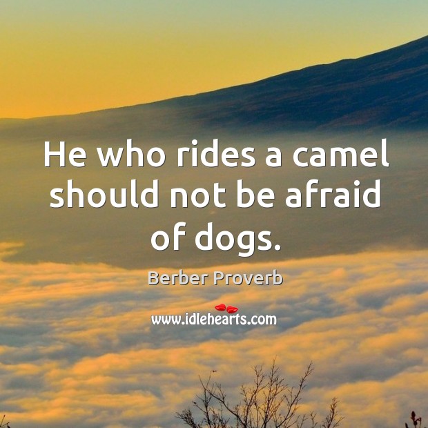 He who rides a camel should not be afraid of dogs. Berber Proverbs Image