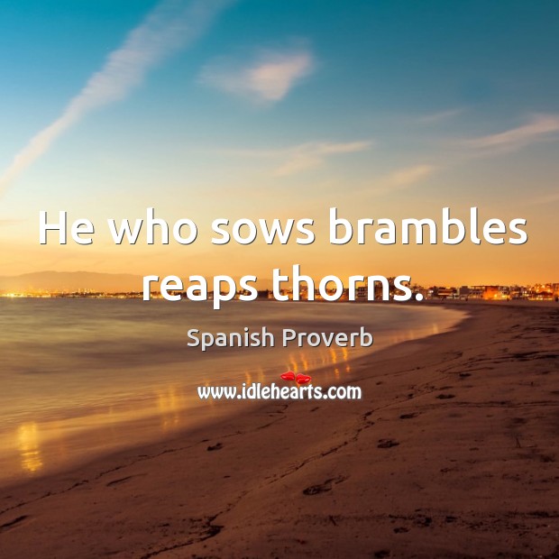 He who sows brambles reaps thorns. Spanish Proverbs Image