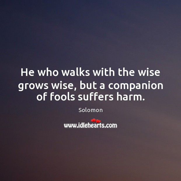 He who walks with the wise grows wise, but a companion of fools suffers harm. Solomon Picture Quote