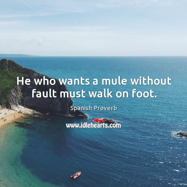 He who wants a mule without fault must walk on foot. Image