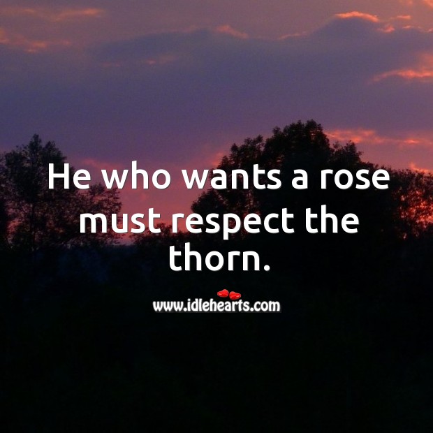 He who wants a rose must respect the thorn. Image