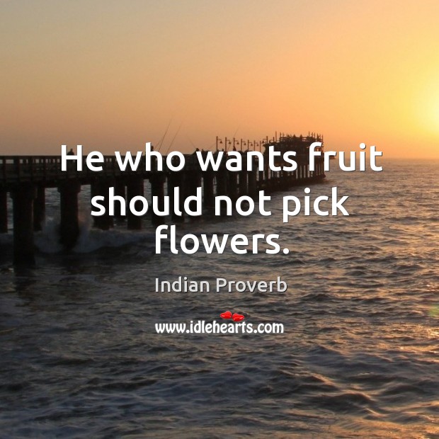 He who wants fruit should not pick flowers. Indian Proverbs Image