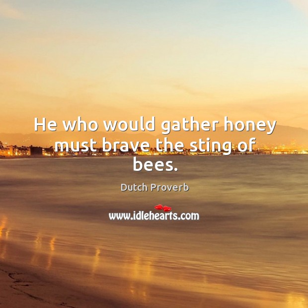 He who would gather honey must brave the sting of bees. Dutch Proverbs Image