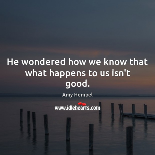 He wondered how we know that what happens to us isn’t good. Amy Hempel Picture Quote