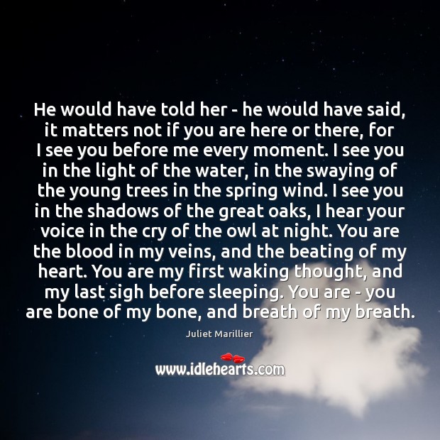 He would have told her – he would have said, it matters Juliet Marillier Picture Quote