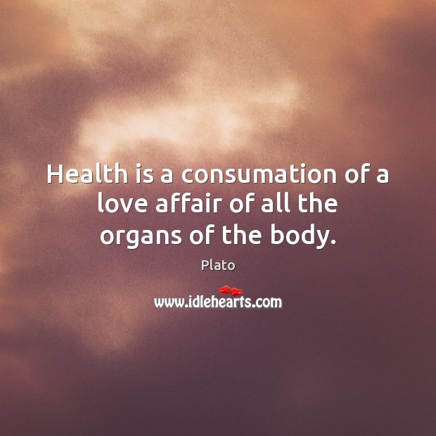 Health is a consumation of a love affair of all the organs of the body. Plato Picture Quote
