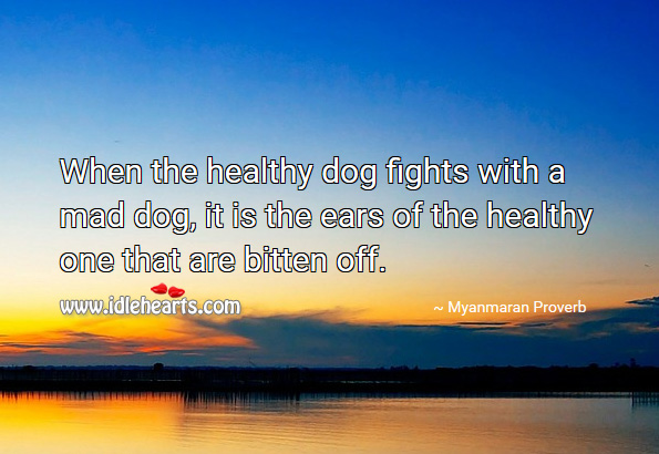 When the healthy dog fights with a mad dog, it is the ears of the healthy one that are bitten off. Myanmaran Proverbs Image
