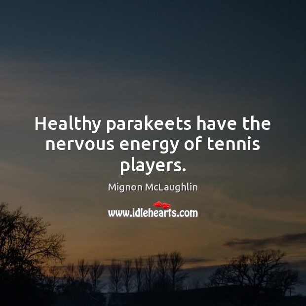 Healthy parakeets have the nervous energy of tennis players. Mignon McLaughlin Picture Quote