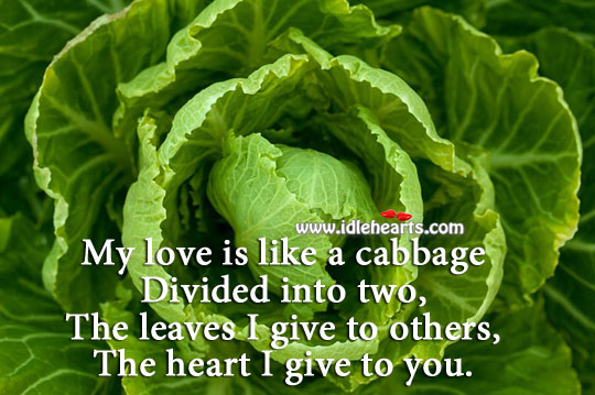 My love is like a cabbage Love Is Quotes Image