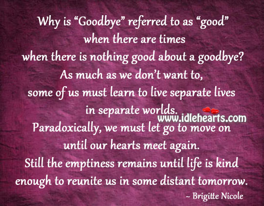 Life is kind enough to reunite us Goodbye Quotes Image